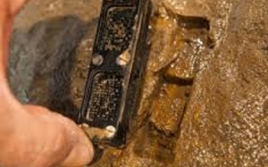 Siêu cấp kháng sinh chữa hầu hết các bệnh