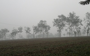 Thời tiết 21/1: Miền Bắc có sương mù nhẹ vào sáng sớm