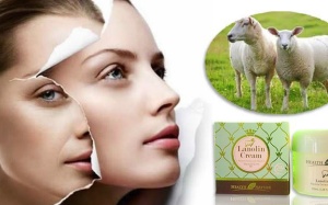 Loạn giá các sản phẩm làm đẹp từ nhau thai cừu