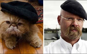 Khi mèo bắt chước điệu bộ sao: Ai yêu hơn nào?