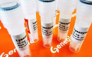 Thu hồi toàn bộ thuốc chứa hoạt chất Lysozyme