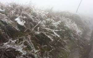 Đêm nay có xuất hiện băng tuyết ở Mẫu Sơn?