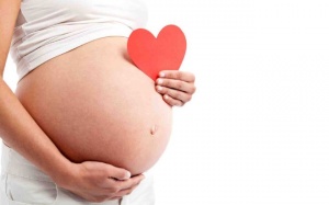 Phụ nữ độc thân có thể sinh con mà không cần 'đối tác'