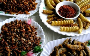 Ăn côn trùng như thế nào để không hại sức khỏe