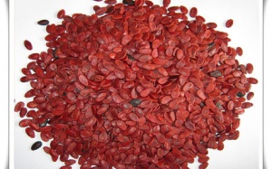 Mách nhỏ cách chọn hạt dưa ngon ngày Tết