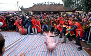 Không đồng ý đổi tên lễ hội, “ông Ỉn” vẫn sẽ bị khai đao