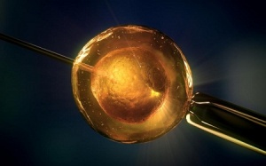 Đồng tính nam cũng có thể sinh con