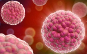 Xác định khối u bằng ADN