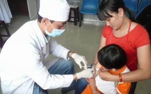 TP.HCM: Hơn 400 người bị chó cắn trong Tết