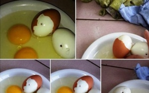 Sự thật về tin đồn trứng gà bị tiêm máu nhiễm HIV