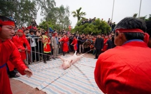 Loại bỏ lễ hội mang tính hủ tục