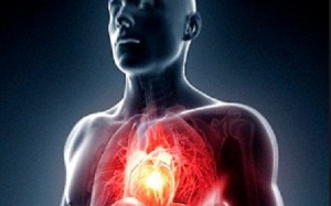 8 bước đơn giản giúp bạn tránh khỏi căn bệnh dễ gây chết người nhất thế giới