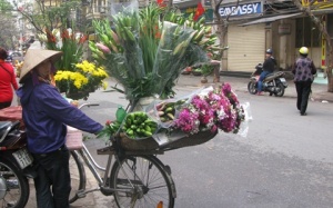 Thời tiết 8/3: Nắng ráo trên cả nước