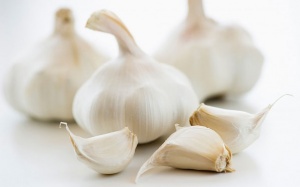  Có nên điều trị thoái hóa cột sống bằng rượu tỏi?