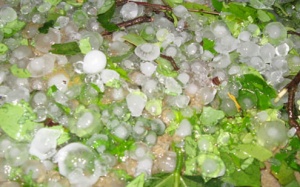 Mưa đá liên tiếp ở Lào Cai