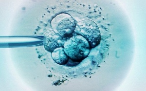IVF: Hy vọng mới cho những cặp vợ chồng vô sinh