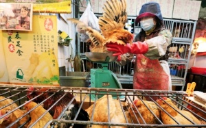 Vì đâu dịch H7N9 bùng phát ở Trung Quốc?