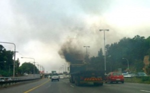 Môi trường ô nhiễm tăng nguy cơ béo phì?