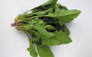 Trị tóc bạc sớm hiệu quả bằng thực phẩm