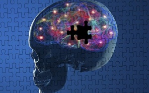 Con 'amip' nào đang 'ăn' não của bạn?