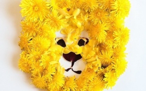 Những bức tranh tuyệt đẹp từ rau quả và hoa lá