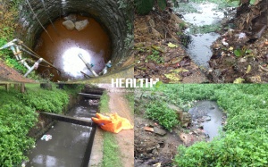 Môi trường ô nhiễm thế này - Bảo sao không ung thư!