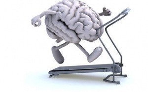 Thể dục thường xuyên - Khỏe thân, khỏe não!