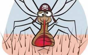 5 lý do khiến bạn trở thành 'mồi ngon' của muỗi