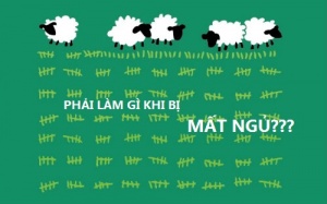 Vì sao bạn bị mất ngủ?