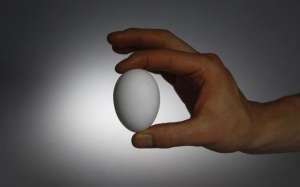 Phòng bệnh đái tháo đường với 4 quả trứng/tuần