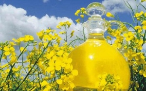 Cách dùng dầu ăn thông minh với từng món ăn