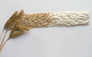 Yến mạch: Ngũ cốc 'đa-zi-năng'