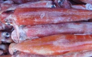 Xử phạt Metro Thăng Long vì bán mực ống nhiễm khuẩn