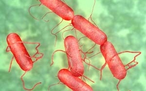 Vì sao rửa thớt bằng tay thì bị 'sâu'?