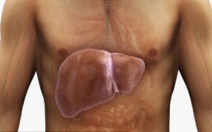 Làm gì khi bị gan nhiễm mỡ?