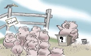 Video: 10 sự thật về bệnh cúm lợn (cúm A/H1N1)