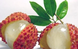 Những loại trái cây mùa hè ăn vào dễ nóng