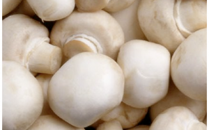 Chọn nấm mỡ ngon cho bữa ăn cuối tuần