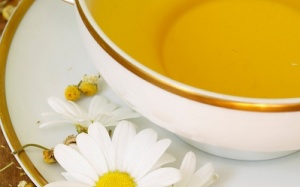 Trà thanh nhiệt mùa hè