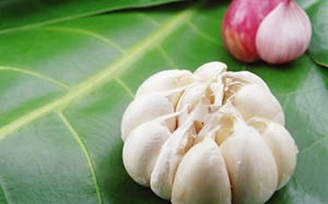 Các loại thực phẩm chức năng thiên nhiên