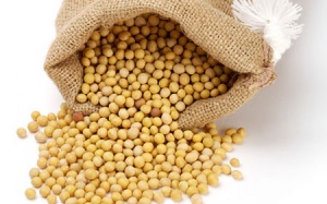 Đậu tương - món ăn, bài thuốc cho bệnh nhân đột quỵ não