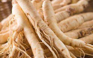 Để tránh 'nhân sâm.. tắc tử'