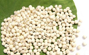 'Xử' trào ngược dạ dày - thực quản theo Đông y