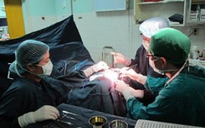 Bi hài chuyện phẫu thuật xác định lại giới tính