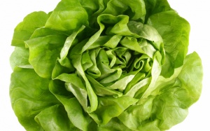 Xà lách - 'báu vật phòng the' của người Ai Cập