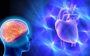 Trái tim cũng có trí thông minh?