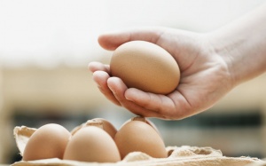 Ăn trứng 'không liên quan cholesterol cao'