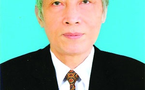 Curcumin - 'tinh chất vàng' còn bị lãng phí