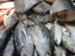 'Công nghệ' giữ hải sản tươi bằng hóa chất