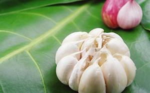 Rượu tỏi chữa bách bệnh